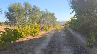 Land for sale in Torres Novas, Portugal — €185,000