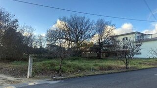 Land for sale in Mangualde, Portugal — €60,000