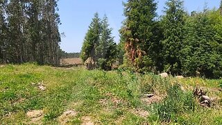 Land for sale in Águeda, Portugal — €26,200