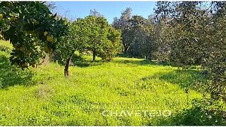 Land for sale in Tomar, Portugal — €49,500