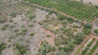 Land for sale in Silves, Portugal — €25,000