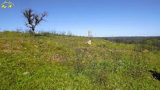 Land for sale in Castro Marim, Portugal — €13,800