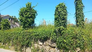 Terreno · 525 m² · 79 000 €