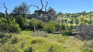 Land for sale in Loulé, Portugal — €300,000