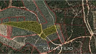 Land for sale in Tomar, Portugal — €38,000