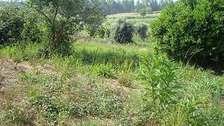 Land for sale in Águeda, Portugal — €35,000