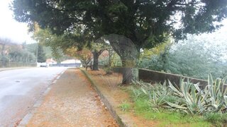 Land for sale in Castanheira de Pêra, Portugal — €45,000