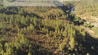Terreno de 15 080 m² em Castelo Branco
