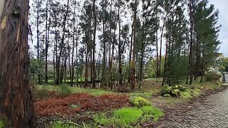 Land for sale in Marco de Canaveses, Portugal — €385,000