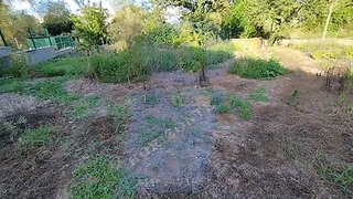 Land for sale in Anadia, Portugal — €30,000