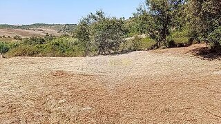 Land · 2,280 m² · €11,500