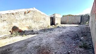 Terreno em Sousel