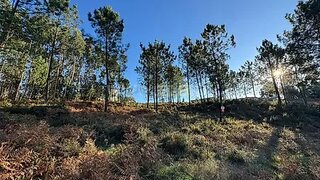 Land for sale in Vila Nova de Gaia, Portugal — €260,000