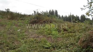 Terreno · 1200 m² · 32 500 €