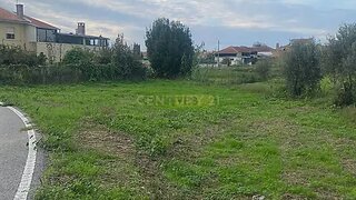 Land for sale in Anadia, Portugal — €30,000