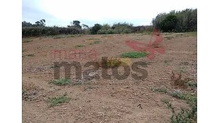 Land for sale in Lourinhã, Portugal — €20,000