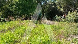 Terreno de 2819 m² em Murtosa