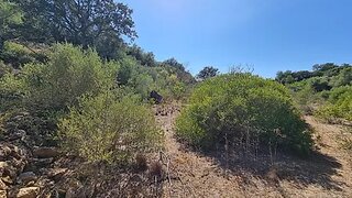 Terreno de 2200 m² em Faro