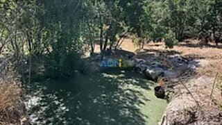Land for sale in Fundão, Portugal — €19,500