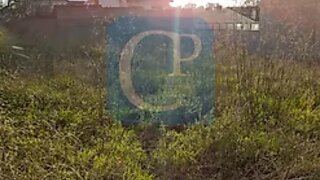 Land for sale in Gondomar, Portugal — €65,000