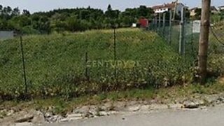 Land for sale in Anadia, Portugal — €29,999