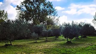 Land for sale in Idanha-a-Nova, Portugal — €14,000