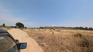 Terreno em Mêda