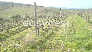 Land for sale in Vila Nova de Foz Côa, Portugal — €1,700,000