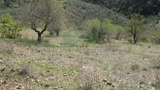 Land for sale in Castro Marim, Portugal — €9,500