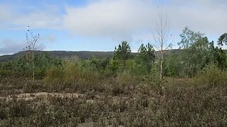 Land for sale in Miranda do Corvo, Portugal — €72,500