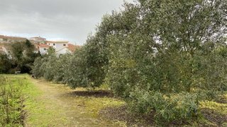 Terreno para venda em Óbidos, Portugal — 95 000 €