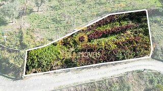 Land for sale in Castelo de Paiva, Portugal — €30,000
