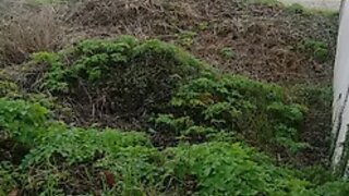 Terreno de 168 m² em Coimbra
