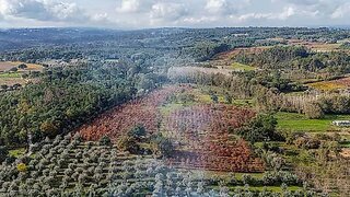 Land for sale in Nelas, Portugal — €120,000