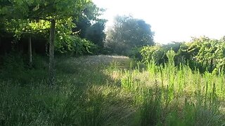 Land for sale in Ponte de Lima, Portugal — €24,150