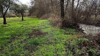 Land for sale in Belmonte, Portugal — €43,000