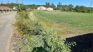 Terreno de 11 600 m² em Braga