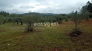 Land for sale in Penamacor, Portugal — €15,000