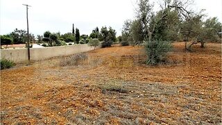 Land for sale in Silves, Portugal — €60,000
