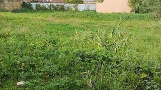 Land for sale in Santarém, Portugal — €60,000