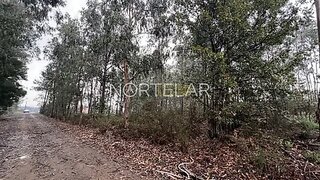Land for sale in Trofa, Portugal — €68,000