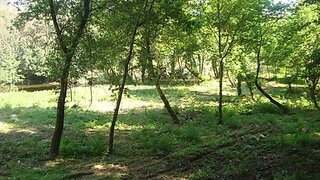 Land for sale in Águeda, Portugal — €22,500