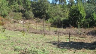 Land for sale in Arganil, Portugal — €30,000