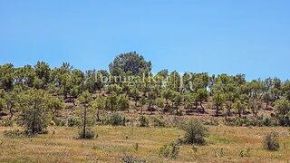 Land for sale in Idanha-a-Nova, Portugal — €122,000