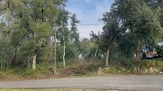 Land for sale in Ansião, Portugal — €55,000