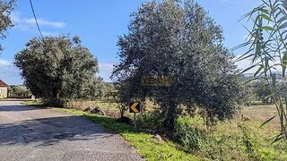 Land for sale in Pombal, Portugal — €270,000