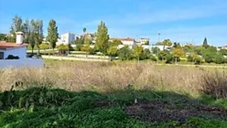 Land for sale in Torres Novas, Portugal — €65,000