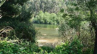 Land for sale in Águeda, Portugal — €395,000