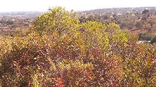 Land for sale in Olhão, Portugal — €213,600