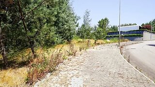 Land for sale in Oliveira de Azeméis, Portugal — €59,500